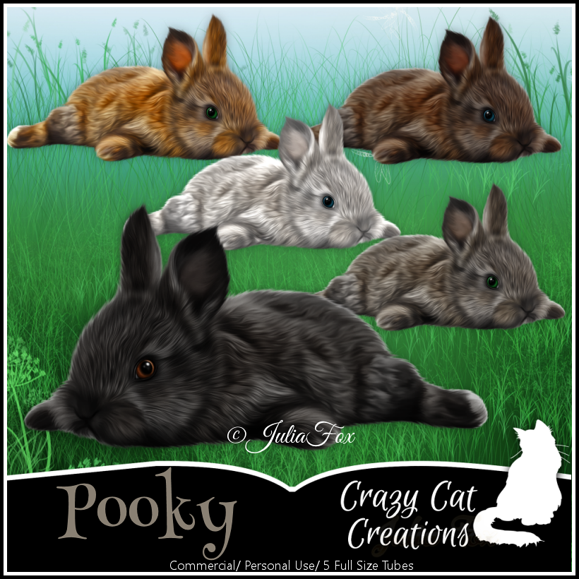 (image for) CCC_Pooky CU